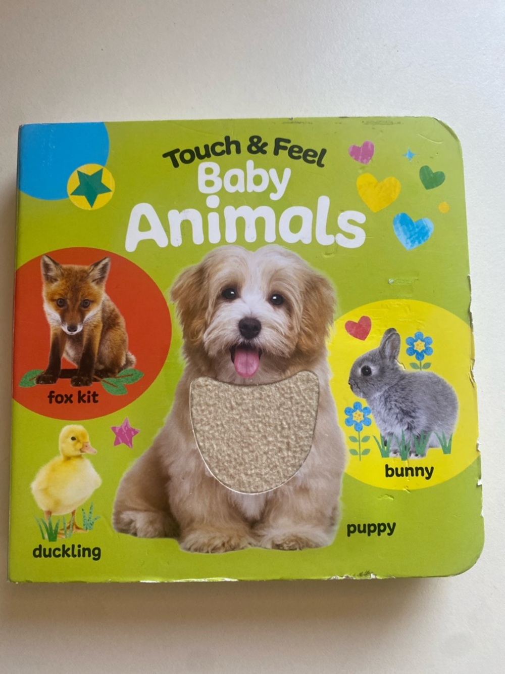 Touch & Feel Baby Animals Board Book - Green
